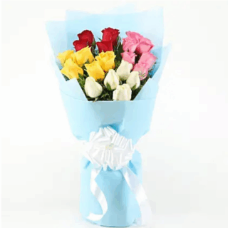 Vibrate Roses